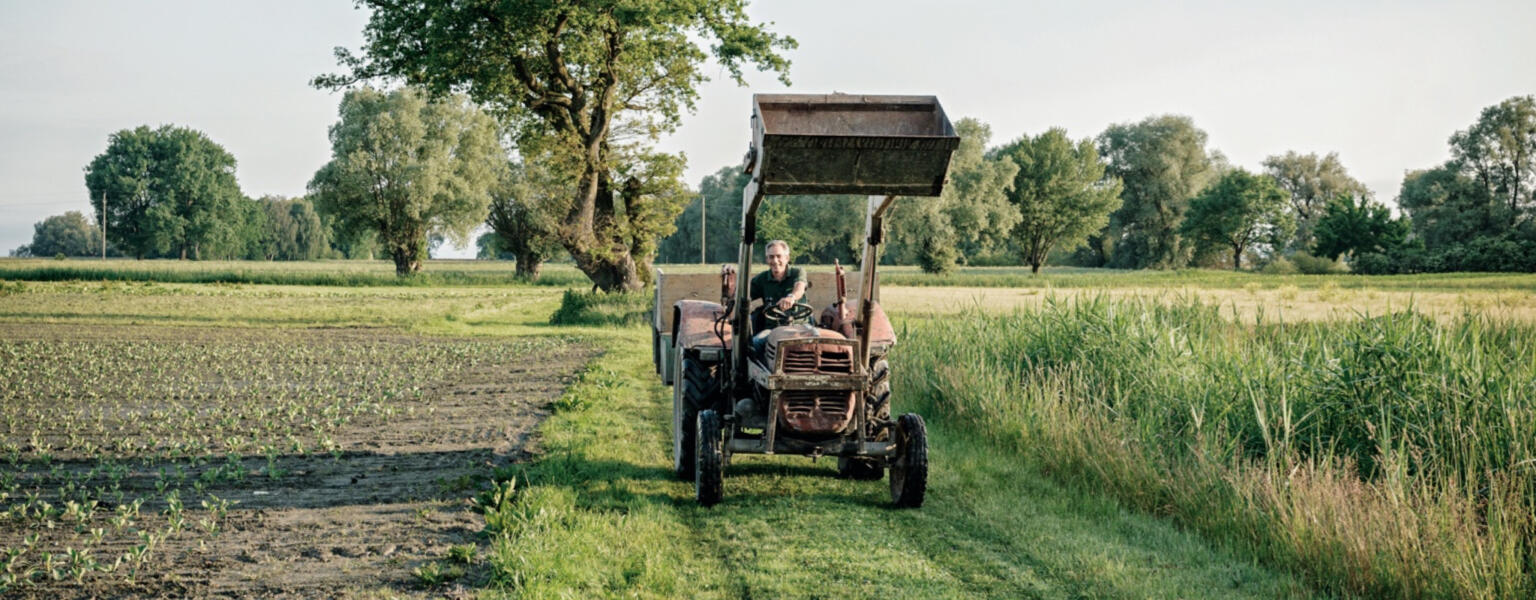 Aus der Region Sutterlüty